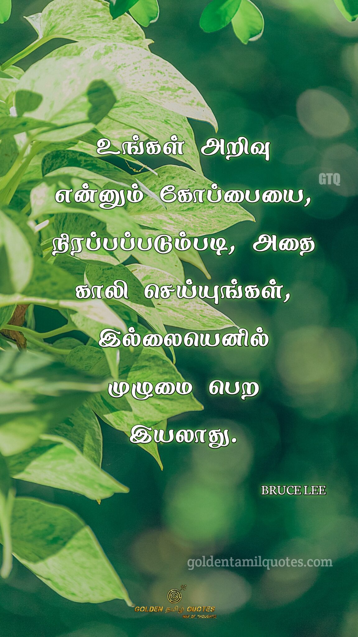 29 GREAT BRUCE LEE QUOTES IN TAMIL GOLDEN TAMIL QUOTES HD WALLPAPER   Bruce Lee Life Changing Tamil Quotes 1151x2048 