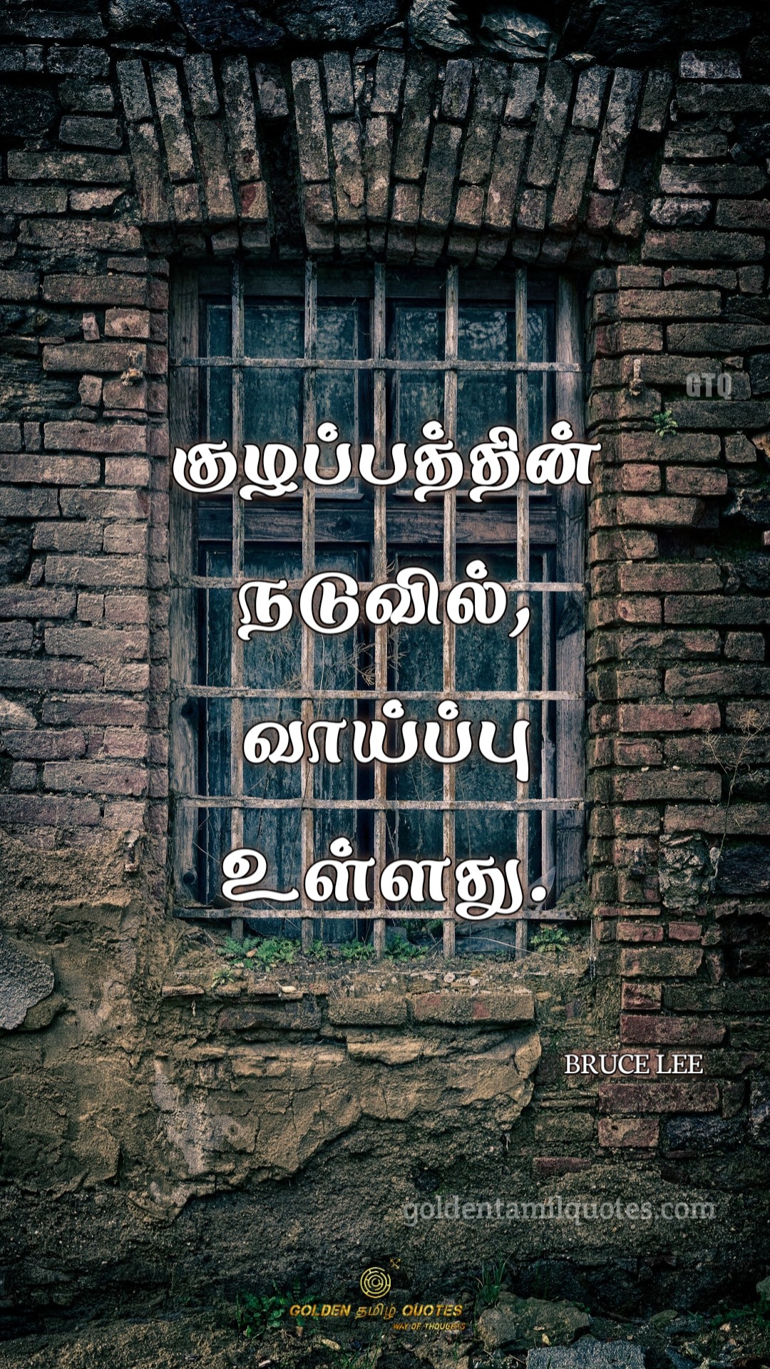 29-GREAT BRUCE LEE QUOTES IN TAMIL » GOLDEN TAMIL QUOTES HD WALLPAPER